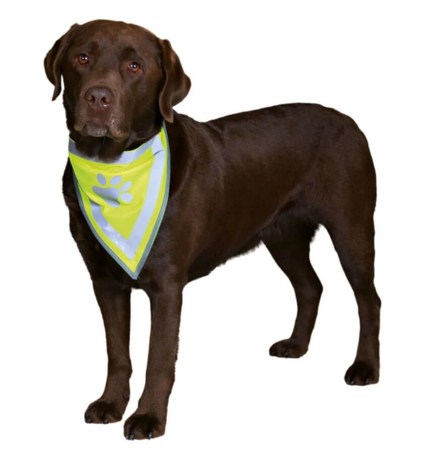 Trixie Foulard De Sécurité Pour Chien L-XL 4 Trixie Foulard De Sécurité Pour Chien L-XL – Image 2