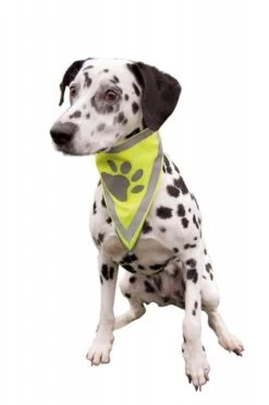 Trixie Foulard De Sécurité Pour Chien S-M -Magasin De Fournitures Pour Animaux Et Chiens trixie foulard de se curite pour chien4 1