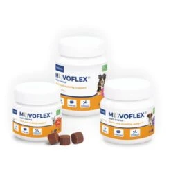 Virbac Movoflex Chien L -Magasin De Fournitures Pour Animaux Et Chiens virbac movoflex chien l 4